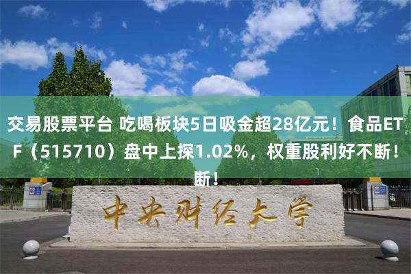 交易股票平台 吃喝板块5日吸金超28亿元！食品ETF（515710）盘中上探1.02%，权重股利好不断！