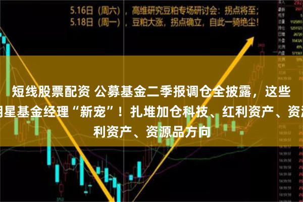 短线股票配资 公募基金二季报调仓全披露，这些公司成明星基金经理“新宠”！扎堆加仓科技、红利资产、资源品方向