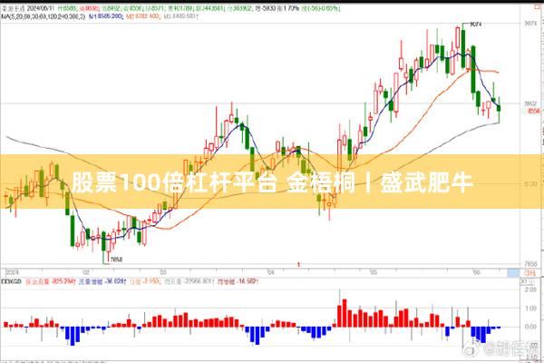 股票100倍杠杆平台 金梧桐丨盛武肥牛