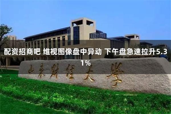 配资招商吧 维视图像盘中异动 下午盘急速拉升5.31%