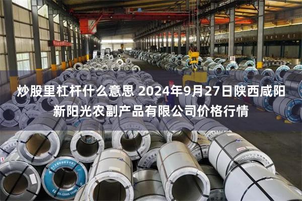 炒股里杠杆什么意思 2024年9月27日陕西咸阳新阳光农副产品有限公司价格行情