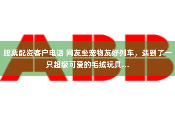 股票配资客户电话 网友坐宠物友好列车，遇到了一只超级可爱的毛绒玩具...