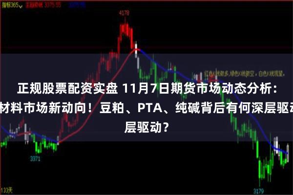 正规股票配资实盘 11月7日期货市场动态分析：原材料市场新动向！豆粕、PTA、纯碱背后有何深层驱动？