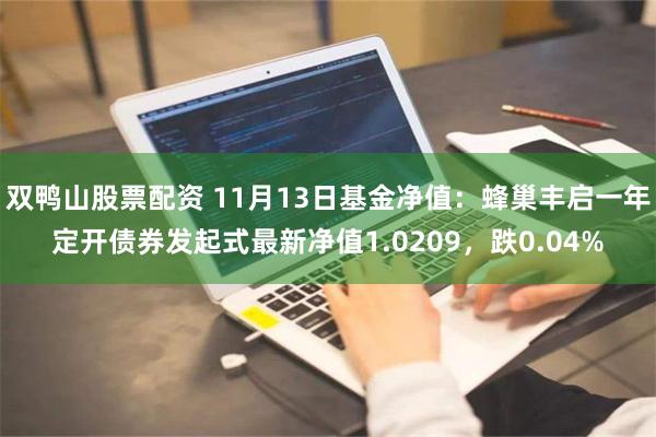 双鸭山股票配资 11月13日基金净值：蜂巢丰启一年定开债券发起式最新净值1.0209，跌0.04%