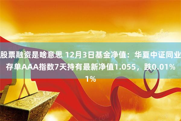 股票融资是啥意思 12月3日基金净值：华夏中证同业存单AAA指数7天持有最新净值1.055，跌0.01%