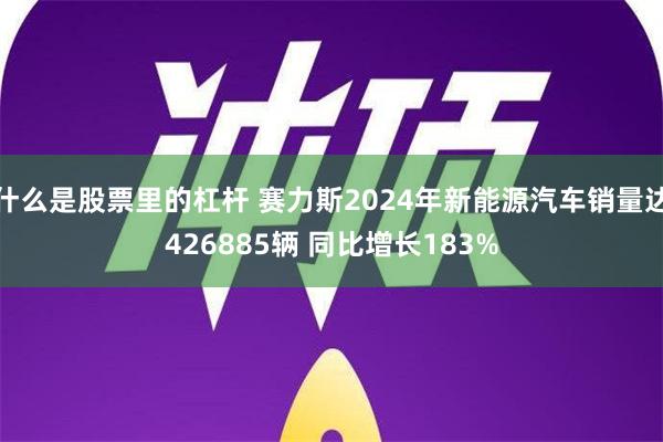 什么是股票里的杠杆 赛力斯2024年新能源汽车销量达426885辆 同比增长183%