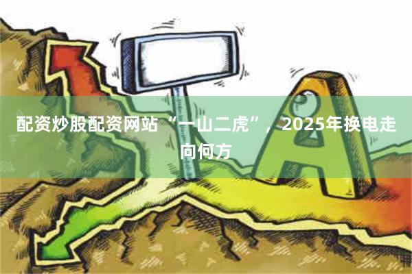 配资炒股配资网站 “一山二虎”，2025年换电走向何方